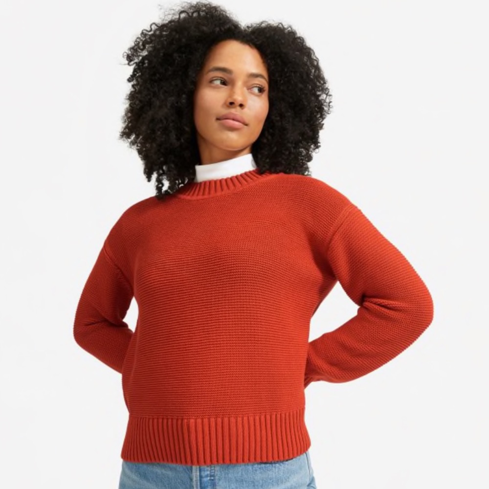 Everlane link-stitch cotton crewneck sweater